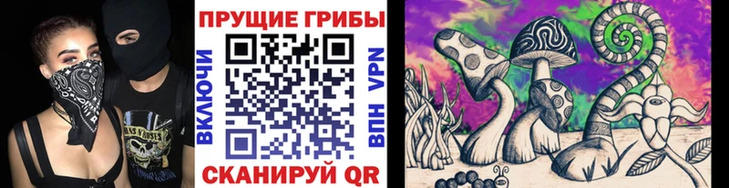 Псилоцибиновые грибы Psilocybine cubensis  Абдулино 